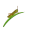 ras