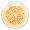 dish