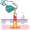 pour