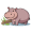 hippo