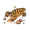 gila
