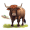 ox