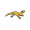pt
