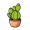 cac