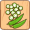 okra