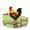 roost