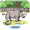 rhino