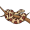 boa