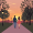 stroll