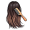 hair