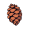 pine