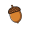 acorn