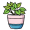 nt