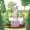 statue