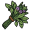 sage