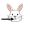 teeth