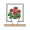 anthurium