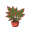 lip