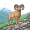 ram
