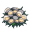 clam