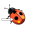 spot
