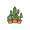cacti
