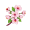 blossom