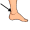 ankle