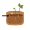 seed