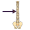 spine