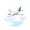 aero