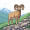ram
