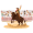 rodeo