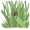der