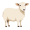 ewe