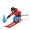 ski