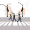 pedestrian