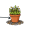 terra