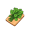 spinach