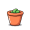 terra