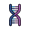 gene
