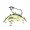 ewe