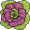 lettuce