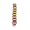 spine
