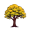 elm