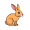hare