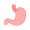 stomach