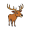 stag