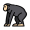 ape