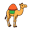 camel